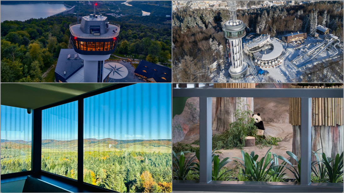 Specjalistyczne szkło dla zwierząt, które chroni ptaki, zmienia ogrody zoologiczne i poprawia wygląd akwariów