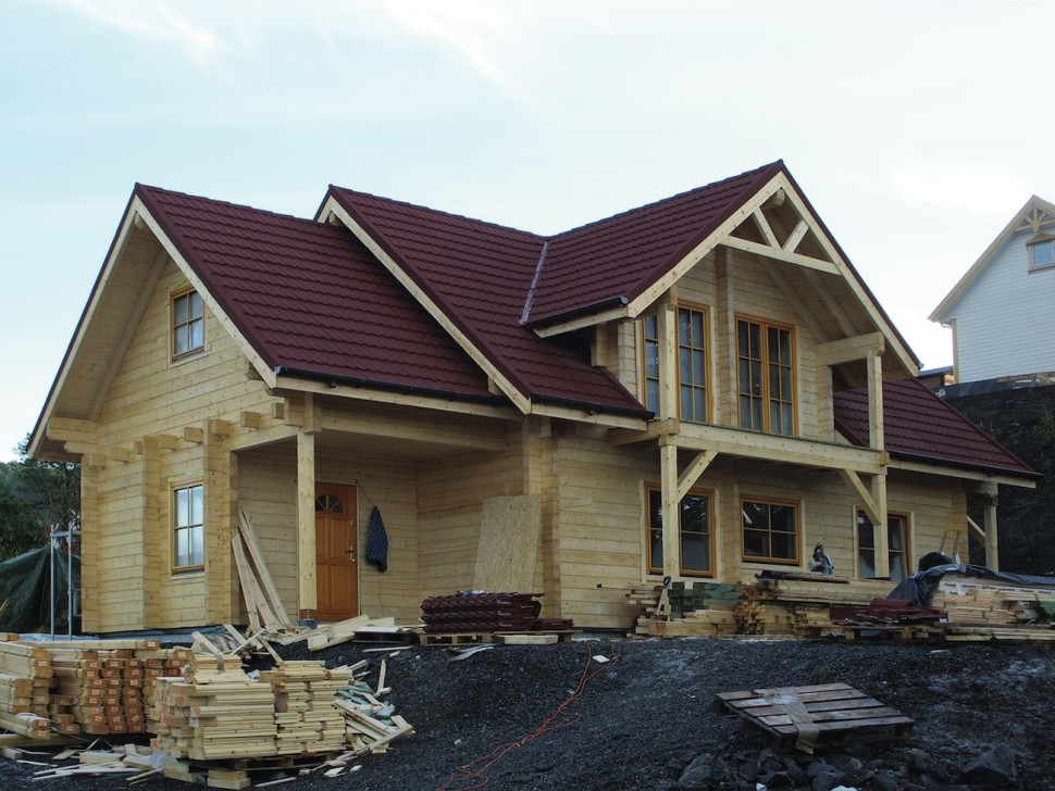 dom szkieletowy budowa