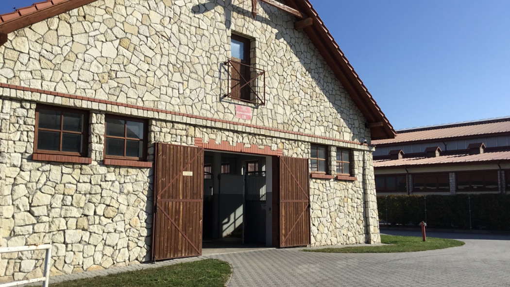 Polskie kamienie naturalne i ich najważniejsze właściwości