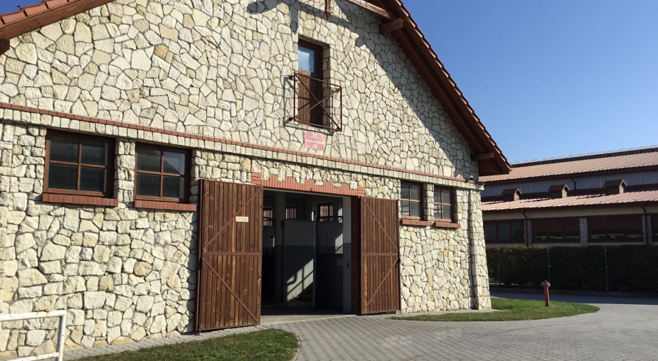 Polskie kamienie naturalne i ich najważniejsze właściwości