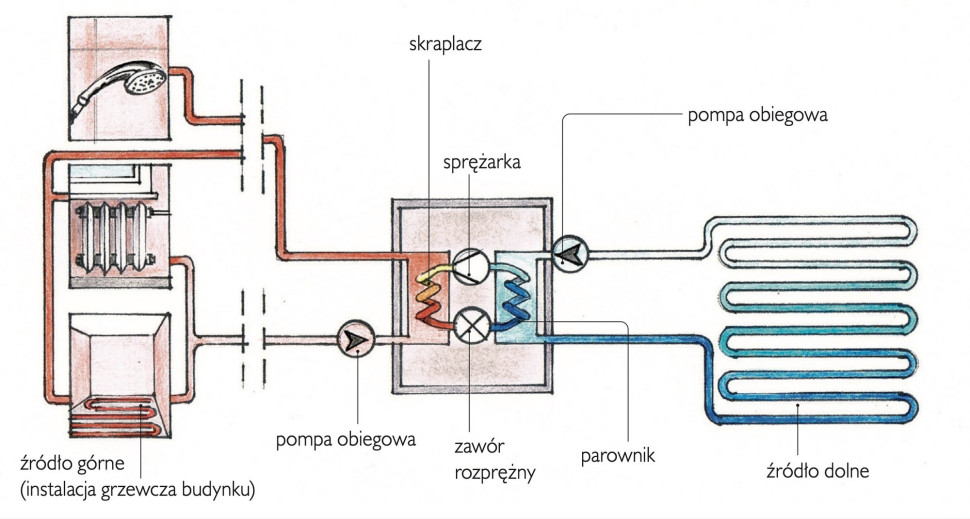 Parownik odbiera ciepło z otoczenia, natomiast skraplacz umożliwia jego przekazanie do instalacji c.o.