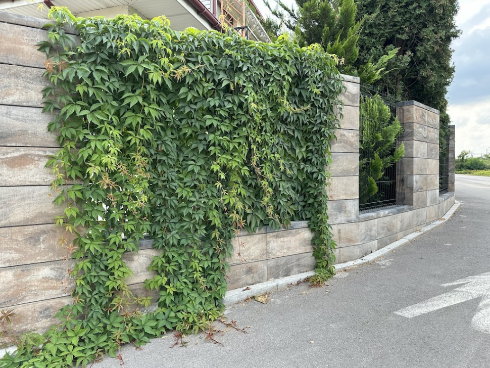 Ogrodzenie Murro Polbruk