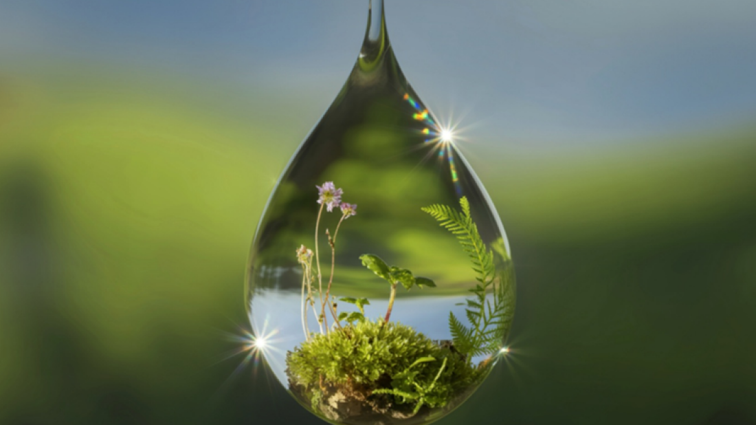 Architektura w rytmie natury: Jak zieleń i nowoczesne projektowanie zmieniają nasze życie?