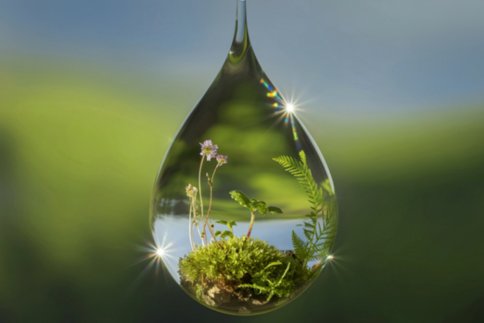 Architektura w rytmie natury: Jak zieleń i nowoczesne projektowanie zmieniają nasze życie?