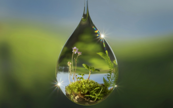 Architektura w rytmie natury: Jak zieleń i nowoczesne projektowanie zmieniają nasze życie?