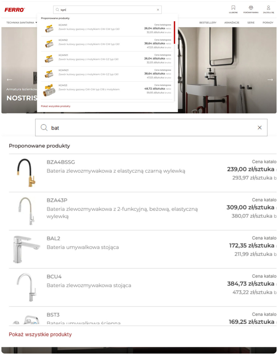 Wyszukiwarka produktów na nowej stronie FERRO