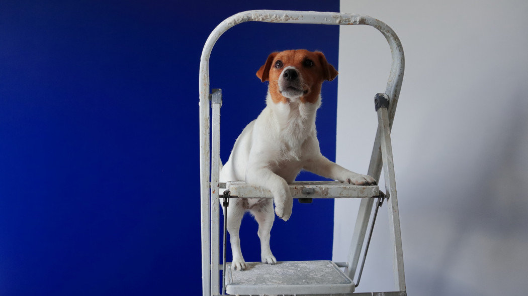 Koszt remontu mieszkania w 2026 r. - 10 tys. zł wystarczy tylko na malowanie i dodatki