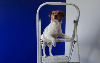 Koszt remontu mieszkania w 2026 r. - 10 tys. zł wystarczy tylko na malowanie i dodatki