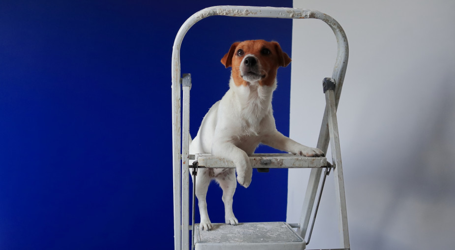 Koszt remontu mieszkania w 2026 r. - 10 tys. zł wystarczy tylko na malowanie i dodatki