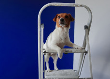 Koszt remontu mieszkania w 2026 r. - 10 tys. zł wystarczy tylko na malowanie i dodatki