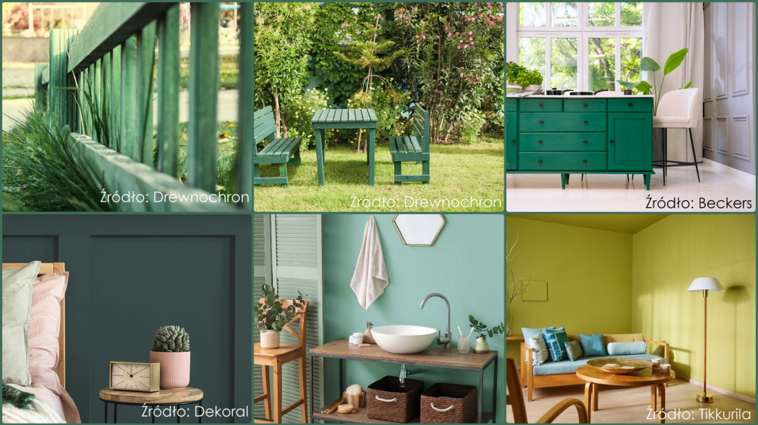 Modna zieleń w domu i ogrodzie. Jak wykorzystać najpiękniejszy trend 2026 roku?