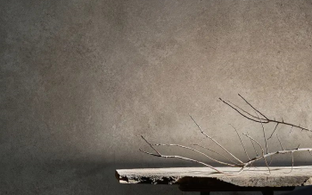 Ściany mineralne to rewolucja w remontach. Dlaczego warto wybrać panele SPC zamiast tradycyjnych płytek?