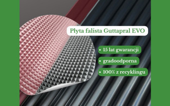 Płyty faliste Guttapral EVO na dach altany, wiaty i garażu. Co warto o nich wiedzieć?