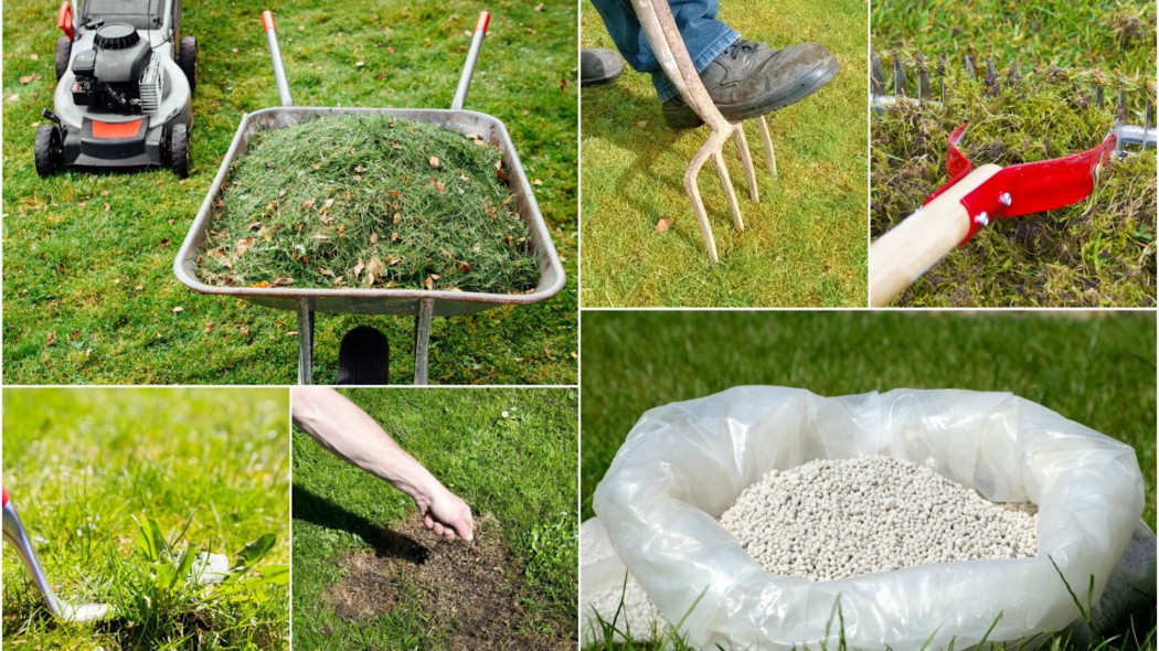 Trawnik po zimie wygląda źle? Zrób te 6 rzeczy w kwietniu, a będzie gęsty i zielony