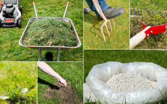 Trawnik po zimie wygląda źle? Zrób te 6 rzeczy w kwietniu, a będzie gęsty i zielony