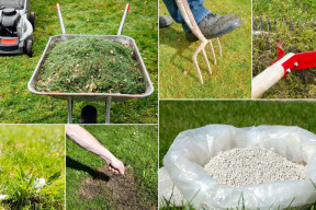 Trawnik po zimie wygląda źle? Zrób te 6 rzeczy w kwietniu, a będzie gęsty i zielony