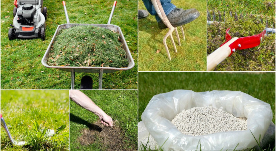 Trawnik po zimie wygląda źle? Zrób te 6 rzeczy w kwietniu, a będzie gęsty i zielony