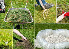 Trawnik po zimie wygląda źle? Zrób te 6 rzeczy w kwietniu, a będzie gęsty i zielony