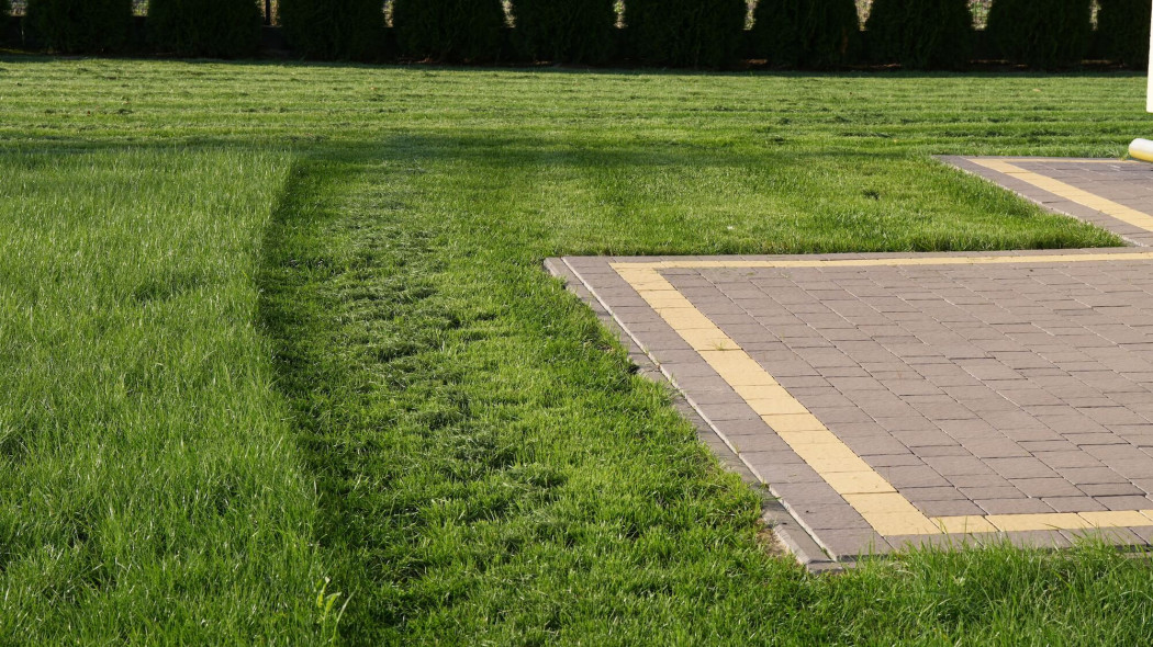 Kiedy i na jaką wysokość kosić trawę? Najważniejsze zasady koszenia trawnika