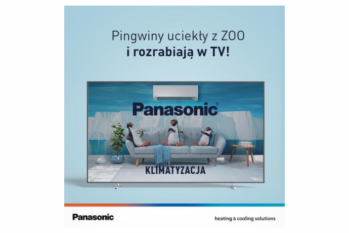 Pingwiny uciekły z ZOO… i trafiły do telewizji. Panasonic rusza z nową kampanią reklamową klimatyzacji