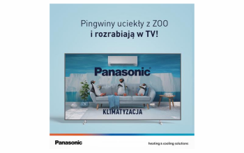 Pingwiny uciekły z ZOO… i trafiły do telewizji. Panasonic rusza z nową kampanią reklamową klimatyzacji