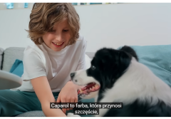 Dlaczego ten słoń przynosi szczęście? Odkryj niezawodny sposób na piękne ściany w całym domu!