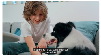 Dlaczego ten słoń przynosi szczęście? Odkryj niezawodny sposób na piękne ściany w całym domu!