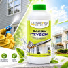 Czym i jak czyścić elewację? Skuteczne metody, środki i zasady
