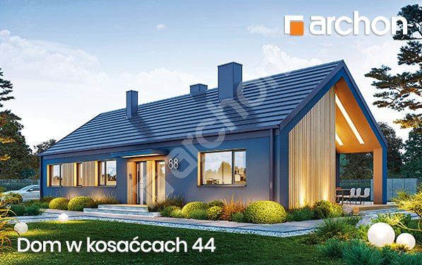 Dom w kosaćcach 44