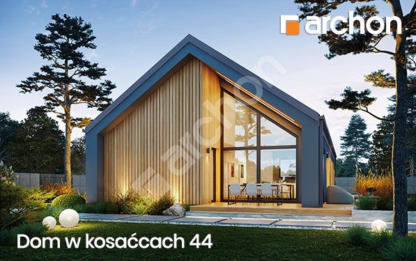 Dom w kosaćcach 44